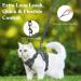 VavoPaw Cat Harness and Leash Set for Walking Adjustable Kitten Vest Harness with Reflective Strip Breathable Mesh Escape Proof Soft Pet Safety Vest for Cats Kittens Puppies S Grey Small Gray - Buy Online on SooperMarket.com