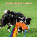 Tekcam 2 Pack Dog Tug Toys - Squeaky Agility Rope Toys for Small & Medium Dogs | Interactive Outdoor Fun - Buy Online on SooperMarket.com