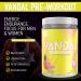 VNDL Pre Workout Powder for Men & Women- Enjoy a Clean Energy Boost with No Sugar Featuring L-Citrulline & L-Tyrosine for Improved Endurance- Nootropic Formula in Pink Paradise Flavor - 40 Servings - Buy Online on SooperMarket.com