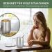 Telanks Mate Becher - 340ml Double-Walled Insulated Stainless Steel Mate Cup with Straw & Brush | Perfect Yerba Mate Mug (Silver) - Buy Online on SooperMarket.com