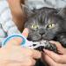 Tinkber 2-Pack Cat Nail Clippers - Stainless Steel Round Pet Nail Shears for Cats Puppies & Small Dogs - Blue & Orange - Buy Online on SooperMarket.com