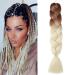 Gairyan Braids Extensions Braid Extensions Art Hair For Inflammatory 1pcs 100g 24 "Jumbo BraIding Hair Ombre Synthetic Box Braids Hair extensions Braids Afro for Crochet Twist (Braun & Beige) 60 cm (1 piece) Brown & Beige