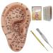Yililay ear seed acupuncture -KIT soft ear seed kit with 7.5 inches .. ear model ear stains tweezers probe pen ear book picture acupuncture -ear -seed ear -eared weight loss style 1
