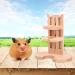 ALXFFBN Water Bottle with Stand for Small pet Rodents Hamster Water Dispenser with Stand Pet Auto Dispenser with Base Auto Dispenser for Small Animals(Random color of water cup) - Buy Online on SooperMarket.com