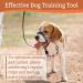 FainFun Adjustable Dog Halter for Medium & Large Dogs - Prevents Barking & Chewing - Buy Online on SooperMarket.com