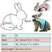 Adjustable Rabbit Dishes & Leash Set for Small Animals 2 Pieces in Blue & Pink | Perfect for Rabbits Hares Hamsters & Cats | Outdoor Use - Buy Online on SooperMarket.com