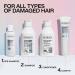 Redken Bonding Shampoo for Damaged Hair Repair - Acidic Bonding Concentrate - 10.1 Fl Oz (Pack of 2) - Buy Online on SooperMarket.com