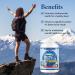 ADVANCED OMEGA Seal Oil 500mg (300 Softgels) Canadian Newfoundland Harp Seal Omega-3 Supplement Non-GMO Gluten-free Soy-free and Dairy-free Made in Canada - Buy Online on SooperMarket.com