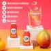 Clear Theory Water Flavoring Drops  Electrolytes Drink Mix  Water Enhancer Liquid  Flavored Hydration for Kids  Vegan  Gluten Free  Low Calories  Stevia  Variety Pack  3 Pack  1.62 Fl Oz Bottles 1.62 Fl Oz (Pack of 3) - Buy Online on SooperMarket.com