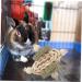 Kisangel Wooden Hamster Chewing Playthings Bunny Treats Oral Biting Playthings - Buy Online on SooperMarket.com
