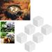 Premium Aquarium Calcium Stone - Essential Trace Elements for Turtles Snails & Reptiles - Ideal for Terrestrial Animals - Buy Online on SooperMarket.com