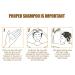500ml Ginger Hair Regrowth Shampoo for Thickening & Anti-Hair Loss - 2 Pack - Buy Online on SooperMarket.com
