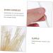 100pcs Lip Brush Set | Silicone Exfoliating Lip Wands | Makeup Tools & Accessories | Portable Flocking Applicator - Yellow - Buy Online on SooperMarket.com