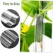 GANAZONO Cucumber Molds 4 Pcs Cucumber Fruit Shape Mold Fruit Shaping Mold Vegetable Mold Combination Modeling Accessories - Buy Online on SooperMarket.com