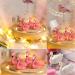 Shop Tangger 6PCs Nail Tips Holder Stand - Flamingo & White Swan for DIY Manicure & Salon Display - Buy Online on SooperMarket.com