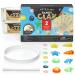 Arteza Kids Air-Dry Modeling Clay Kit, 2 x 0.8-oz Packs, Handprint and Baby Footprint Kit, Paw Print Keepsake, with Sandy Clay Tools and Accessories for Kids Crafts and Sensory Play Pack of 2