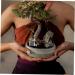 Mipcase Pet Water Feeder Ant Feeding Bowl Ants Farm Water Feeders Insect Feeder Ants Watering Cup Plastic - Buy Online on SooperMarket.com