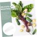 SUPVOX 4 Pcs Fruit and Vegetable Shaping Mold Plant Quincunx - Buy Online on SooperMarket.com