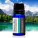 Yeouth Therapeutic Essential Oil Starter Pack - 6 x 10ml - Pure Aromatherapy - Buy Online on SooperMarket.com