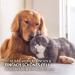 Aniforte Salmon Oil Capsules for Dogs & Cats - 500 Omega-3 Fish Oil & Vitamins for Healthy Metabolism Strong Bones & Shiny Fur - Buy Online on SooperMarket.com