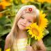 Shop Dhweku 12pc Baby Hair Clips - Cute Plush Flower Hairpins & Accessories for Baby Girls - Buy Online on SooperMarket.com
