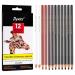 Dyvicl Charcoal Pencils Drawing Set  12 Pieces Colored Charcoal Pencils for Drawing  Sketching  Shading  Blending  Highlight White Pencils for Beginners and Artists