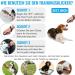 Diyife 4-Piece Multi-Color Clicker Set for Dog Training Clicker with Large Button & Hand Loop for Dogs Cats Horses (Cyan Blue Black White) - International Shipping Available - Buy Online on SooperMarket.com
