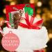 Peppermint Candy Cane Sip Straws with Belgian Milk Chocolate Stirring Spoon Hot Cocoa Bar Supplies Christmas Stocking Stuffer Treats for Adults and Kids Pack of 2 - Buy Online on SooperMarket.com
