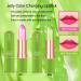 Kaynest Lips Aloe Vera Lipstick Set-A - Long Lasting Moisturizing Nutritious Lip Balm for Magic Color Change - 2 Packs - Buy Online on SooperMarket.com