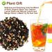 Plant Gift Hawaiian Black Tea Oganic Fruit Herbal Tea All Natural Flavors Loose Leaf Ceylon Roselle Papaya Pineapple Mango Grape Lemon Non GMO Vegan Tea Bags Into Iced Tea & Hot Tea 70G/2.5oz - Buy Online on SooperMarket.com