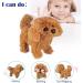WorWoder Interactive Plush Teddy Dog Toy - Walking, Barking, Wagging Tail - Fun Companion Pet for Kids (Teddy Dog) - Buy Online on SooperMarket.com