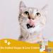 Cat Treats bundle contains Lick e Lix Chicken Salmon Beef Liver Cheese Cat Grass Licky Lix 6x5's Kitten Treat and Snacks Lick-e-Lix Total 30 sachets and our Catnip mouse toy - Buy Online on SooperMarket.com