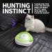 All for Paws 2 in 1 Interactive Cat Toy - Fluttering Butterfly & Rolling Balls - Automatic Indoor Kitten Spinner Toy - Buy Online on SooperMarket.com