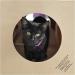 Dezi & Roo Hide and Sneak Collapsible Paper Tunnel: Interactive Cat Toy for Enrichment - Buy Online on SooperMarket.com