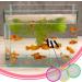 Brine Shrimp Net Small Aquarium Fish Net Shrimp Separation Net for Artemia Eggs Brine Shrimp Hatchery - Buy Online on SooperMarket.com