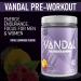 Vandal | Pre Workout Powder - Safe Nootropic Pre Workout Supplement for Men & Women | Boosts Energy Focus Performance & Recovery | Nitric Oxide Booster for Blood Flow | 40 Servings (Royal Lemonade) - Buy Online on SooperMarket.com