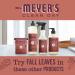Mrs. Meyer's Clean Day Variety - Fall Leaves Hand Soap & Dish Soap Set | 12.5 OZ & 16 OZ | International Shipping Available - Buy Online on SooperMarket.com