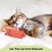 MOSNOW Cat Chase Toys 1 Pack 2 in 1 LED Pointer Cat Toys&1 Pack Cat Catnip Toys Funny Cat Toys Pet Interactive Toys for Pet Indoor Exercise Training Tool - Buy Online on SooperMarket.com