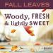 Mrs. Meyer's Clean Day Variety - Fall Leaves Hand Soap & Dish Soap Set | 12.5 OZ & 16 OZ | International Shipping Available - Buy Online on SooperMarket.com