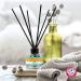 Arm & Hammer Pet Odor Eliminator Room Spray | 10 oz Eucalyptus Mint Fragrance | Baking Soda Pet Deodorizer | Eucalyptus Mint Reed Diffuser - Buy Online on SooperMarket.com