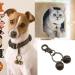 Emsea Pet Tracker Bell Charm for Dogs & Cats - Medium-Sized Collar Accessory for Training & Dishwashing - Buy Online on SooperMarket.com