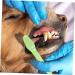 GANAZONO 3 Sets Pet Toothbrush Toothpaste for Dogs Green Dog Toothbrush Pet Mouth Cleaning Tool Tools Pp - Buy Online on SooperMarket.com