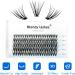 D Curl 0.07mm Mixed Cluster Lashes 8-16mm | 30 Root Individual Eyelash Extensions - Buy Online on SooperMarket.com