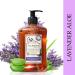 A La Maison Lavender Aloe Liquid Hand Soap - 16.9 fl oz (2 Pack) | Moisturizing Natural Hand Wash - Triple French Milled | Gentle to Hands - Buy Online on SooperMarket.com
