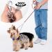Tiesome Metal Double Dog Leash - 360 Rotation Chew-Proof Dual Leash for Dogs | Ideal for Walking & Training | Durable Two Dog Splitter (2.5mm x 40cm) - Buy Online on SooperMarket.com