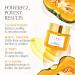 BYROE Pumpkin Pro-Retinol Anti Aging Face Cream | Vegan Hydrating Formula with Eco Ceramides & Bakuchiol | Reduce Fine Lines & Wrinkles - 50ml - Buy Online on SooperMarket.com