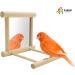 Blessed Family Bird Parakeet Mirror - Wooden Perch Stand and Swing Toy for Parrot Cage - Parakeet Accessories for Various Bird Species - 1 Piece - Buy Online on SooperMarket.com