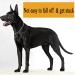 Durable Metal Choke Chain Dog Collar for Outdoor Training - Small, Medium, Large Sizes - Adjustable Silver Necklace - L 65cm, 4.0mm Diameter - Buy Online on SooperMarket.com