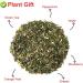 Plant Gift Strawberry Green Tea Oganic Fruit Herbal Tea All Natural Flavors Loose Leaf Apple Strawberry Orange Peel Grapes Peppermint Non GMO Vegan Tea Bags Into Iced Tea & Hot Tea 70G/2.5oz - Buy Online on SooperMarket.com