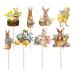 awakentti 8PCS Peter Rabbit Cupcake Decoration Room Ornaments Cake Picks with Clear Printing Easter Cupcake Toppers for Photo Wall Photo Booth Background Candy Box
